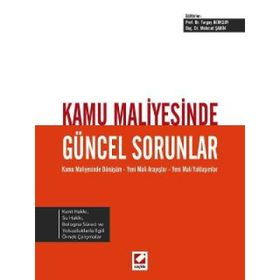 Kamu Maliyesinde Güncel Sorunlar - Mehmet Şahin Turgay Berksoy