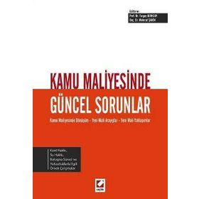 Kamu Maliyesinde Güncel Sorunlar - Mehmet Şahin Turgay Berksoy