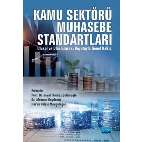 Kamu Sektörü Muhasebe Standartları - Nobel Yayınevi