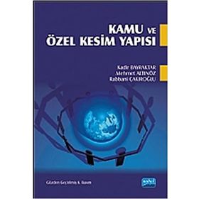 KAMU VE ÖZEL KESIM YAPISI - KOLEKTIF