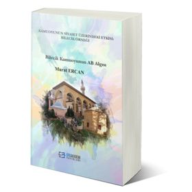 Kamuoyunun Siyaset Üzerindeki Etkisi: Bilecik Örneği - Murat Ercan
