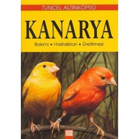 KANARYA BAKIMI - HASTALIKLARI - ÜRETILMESI - PSIKOLOG TUNCEL ALTINKÖPRÜ