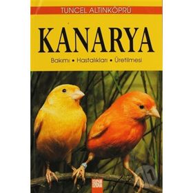 KANARYA - PSIKOLOG TUNCEL ALTINKÖPRÜ