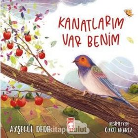 Kanatlarım Var Benim - Ayşegül Dede