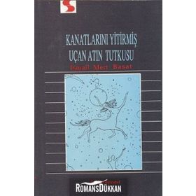 Kanatlarını Yitirmiş Uçan Atın Tutkusu - İsmail Mert Başat