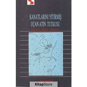 Kanatlarını Yitirmiş Uçan Atın Tutkusu - İsmail Mert Başat