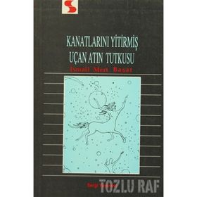 Kanatlarını Yitirmiş Uçan Atın Tutkusu - İsmail Mert Başat