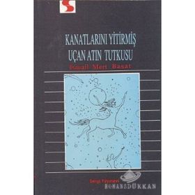 Kanatlarını Yitirmiş Uçan Atın Tutkusu - İsmail Mert Başat