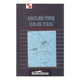 Kanatlarını Yitirmiş Uçan Atın Tutkusu - İsmail Mert Başat