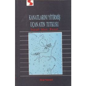 Kanatlarını Yitirmiş Uçan Atın Tutkusu - İsmail Mert Başat