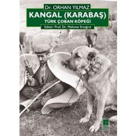 KANGAL (KARABAŞ) TÜRK ÇOBAN KÖPEĞİ - ORHAN YILMAZ