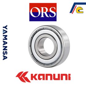 Kanuni Seyhan 150 6202 C3-ORS Motor Rulmanı
