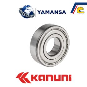 Kanuni Seyhan 150 6301-ZZ Motor Rulmanı