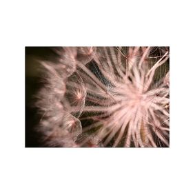 Kanvas Sanat CNV-052 Pembe Çiçek Kanvas Tablo