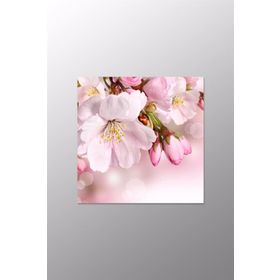 Kanvas Sanat CNV-052 Pembe Çiçek Kanvas Tablo