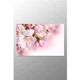 Kanvas Sanat CNV-052 Pembe Çiçek Kanvas Tablo