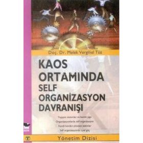KAOS ORTAMINDA SELF ORGANIZASYON DAVRANIŞI - MELEK VERGILIEL