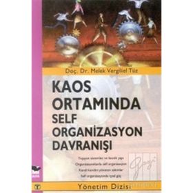 KAOS ORTAMINDA SELF ORGANIZASYON DAVRANIŞI - MELEK VERGILIEL