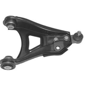 KAPIMSAN 20-70323 Clio Komple Sağ Alt Salıncak