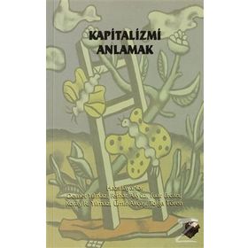 KAPITALIZMI ANLAMAK - DEMET YILMAZ;FERHAT AKYÜZ;FUAT ERCAN;KORAY R. YILMAZ;TOLGA TÖREN;ÜMİT AKÇAY