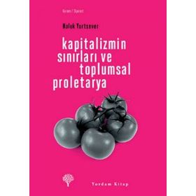KAPITALIZMIN SINIRLARI VE TOPLUMSAL PROLETARYA - HALUK YURTSEVER