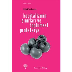 KAPITALIZMIN SINIRLARI VE TOPLUMSAL PROLETARYA - HALUK YURTSEVER