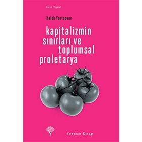 KAPITALIZMIN SINIRLARI VE TOPLUMSAL PROLETARYA - HALUK YURTSEVER