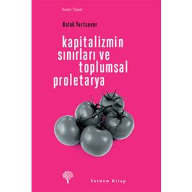 KAPITALIZMIN SINIRLARI VE TOPLUMSAL PROLETARYA - HALUK YURTSEVER