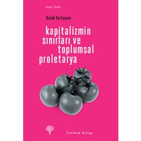 KAPITALIZMIN SINIRLARI VE TOPLUMSAL PROLETARYA - HALUK YURTSEVER