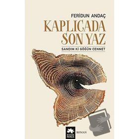 Kaplıcada Son Yaz - Feridun Andaç