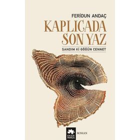 Kaplıcada Son Yaz - Feridun Andaç
