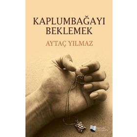 Kaplumbağayı Beklemek - Aytaç Yılmaz