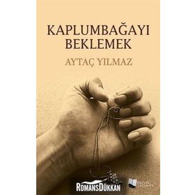 Kaplumbağayı Beklemek - Aytaç Yılmaz