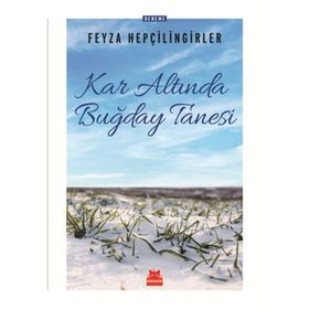 Kar Altında Buğday Tanesi - Feyza Hepçilingirler