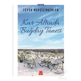 Kar Altında Buğday Tanesi - Feyza Hepçilingirler