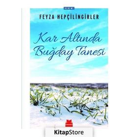 Kar Altında Buğday Tanesi - Feyza Hepçilingirler
