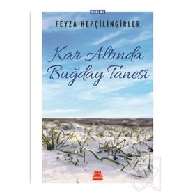 Kar Altında Buğday Tanesi - Feyza Hepçilingirler