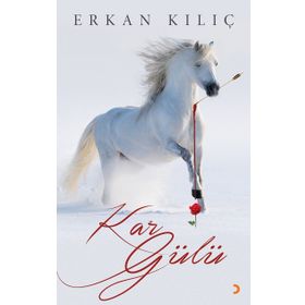 Kar Gülü - Erkan Kılıç