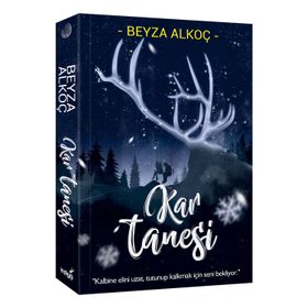 Kar Tanesi - Beyza Alkoç