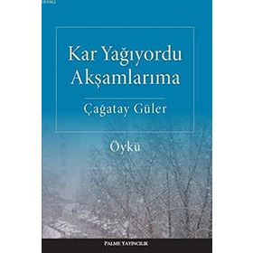Kar Yağıyordu Akşamlarıma - Çağatay Güler