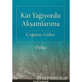 Kar Yağıyordu Akşamlarıma - Çağatay Güler