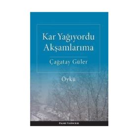 Kar Yağıyordu Akşamlarıma - Çağatay Güler