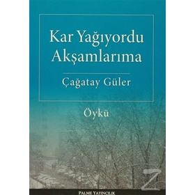 Kar Yağıyordu Akşamlarıma - Çağatay Güler