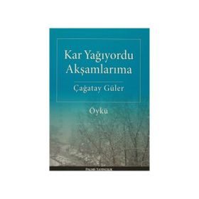 Kar Yağıyordu Akşamlarıma - Çağatay Güler