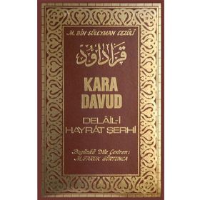 Kara Davud Delaili Hayrat Şerhi - M.Bin Süleyman Cezüli