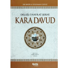 Kara Davud Delaili Hayrat Şerhi - M.Bin Süleyman Cezüli