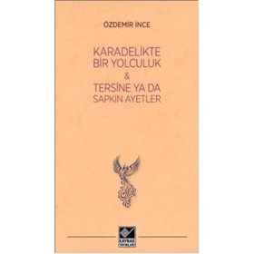 Kara Delikte Bir Yolculuk ve Tersine ya da Sapkın Ayetler - Özdemir İnce