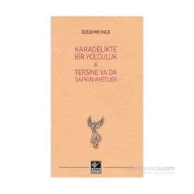 Kara Delikte Bir Yolculuk ve Tersine ya da Sapkın Ayetler - Özdemir İnce