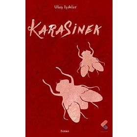 Kara Sinek - Derya Demirel
