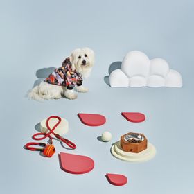 Karaca Home Barney Kırmızı Köpek Gezdirme Kayışı